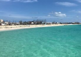 Shark bites off US woman's leg in Turks and Caicos Islands